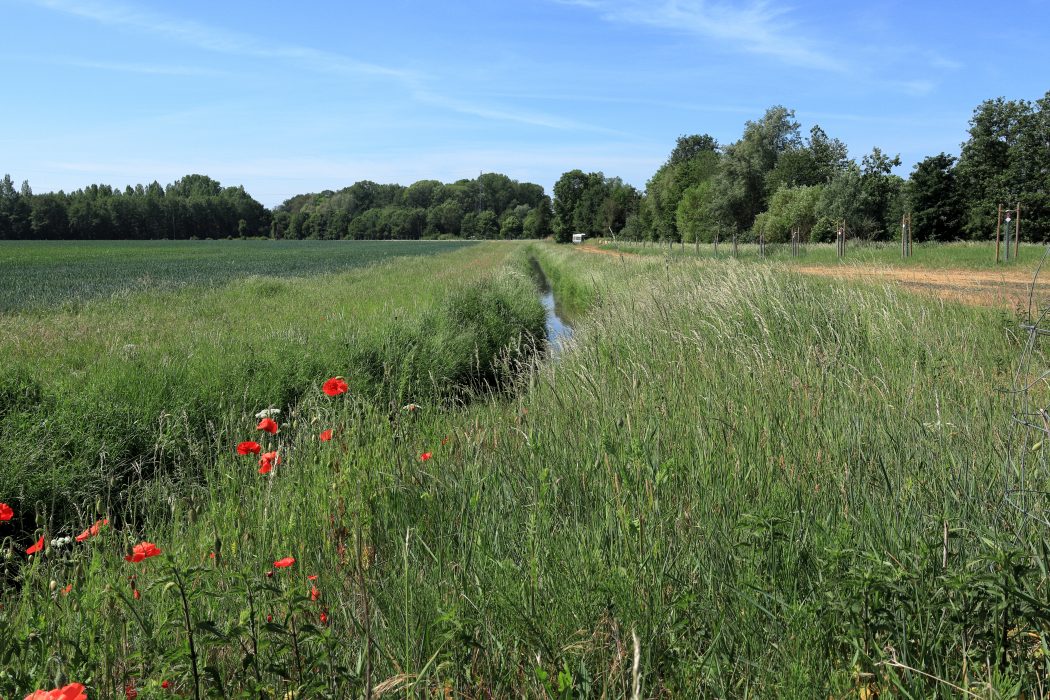 Das Foto zeigt zeigt die westliche Grenze des Ruhrgebiet ins Xanten und Sonsbeck