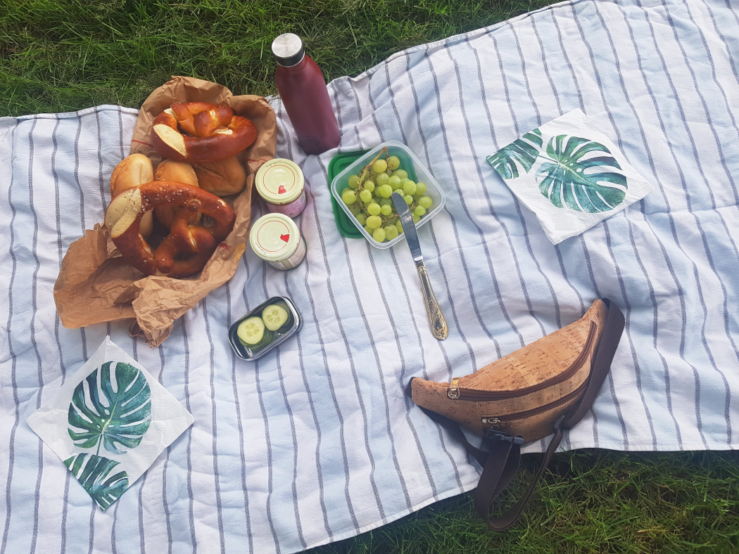 Das Foto zeigt ein Picknick am Haus Opherdicke in Holzwickede