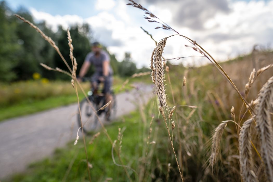 Das Foto zeigt Jochen bei seiner Radtour durch Dortmund an der Körne