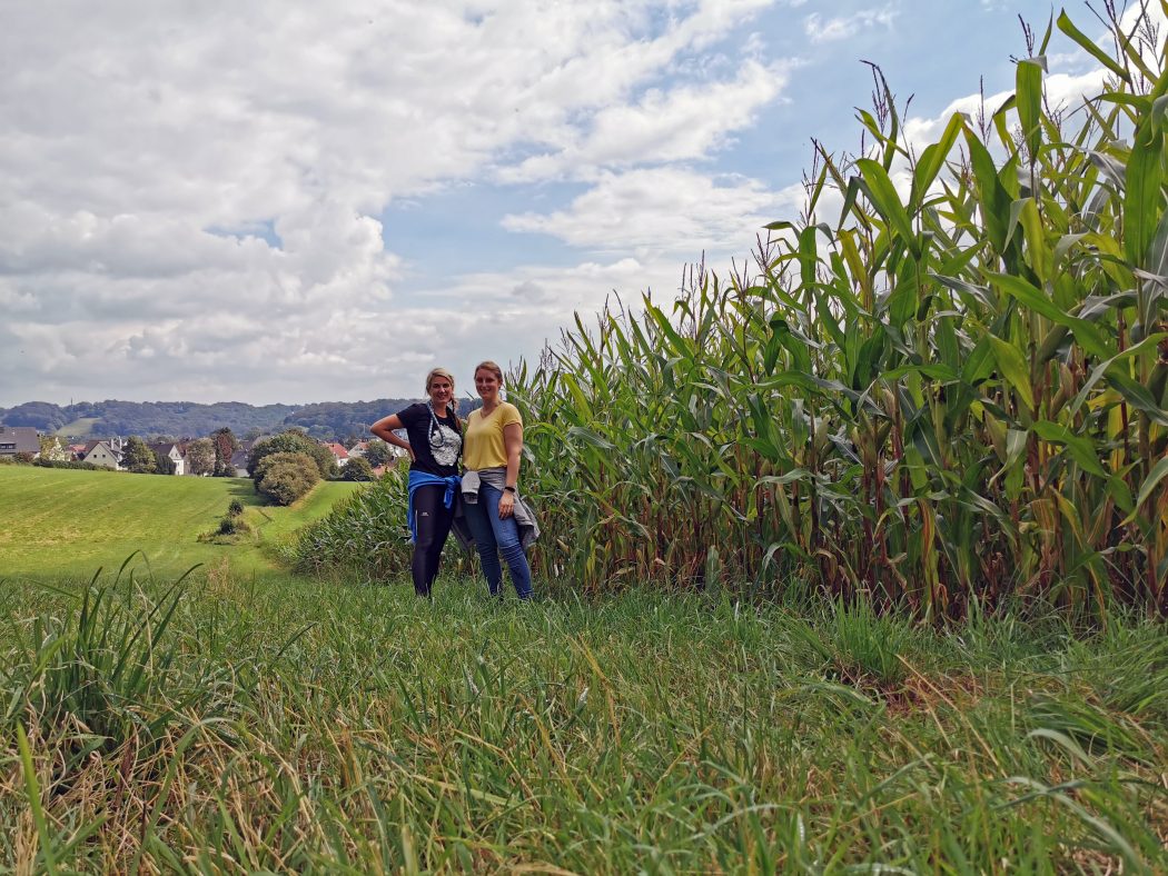 Das Foto zeigt Heike und Katalina bei ihrer Wanderung in einem Maisfeld in Sprockhövel