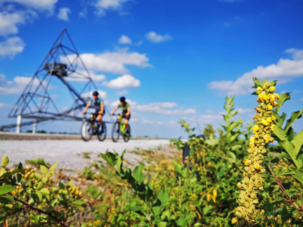 Das Foto zeigt zwei Mountainbiker auf der Halde Beckstraße mit dem Tetraeder in Bottrop