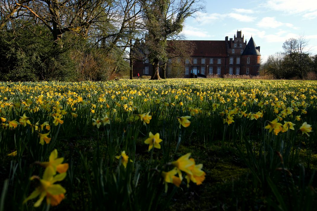 Das Foto zeigt die große Narzissenwiese vor dem Schloss Herten