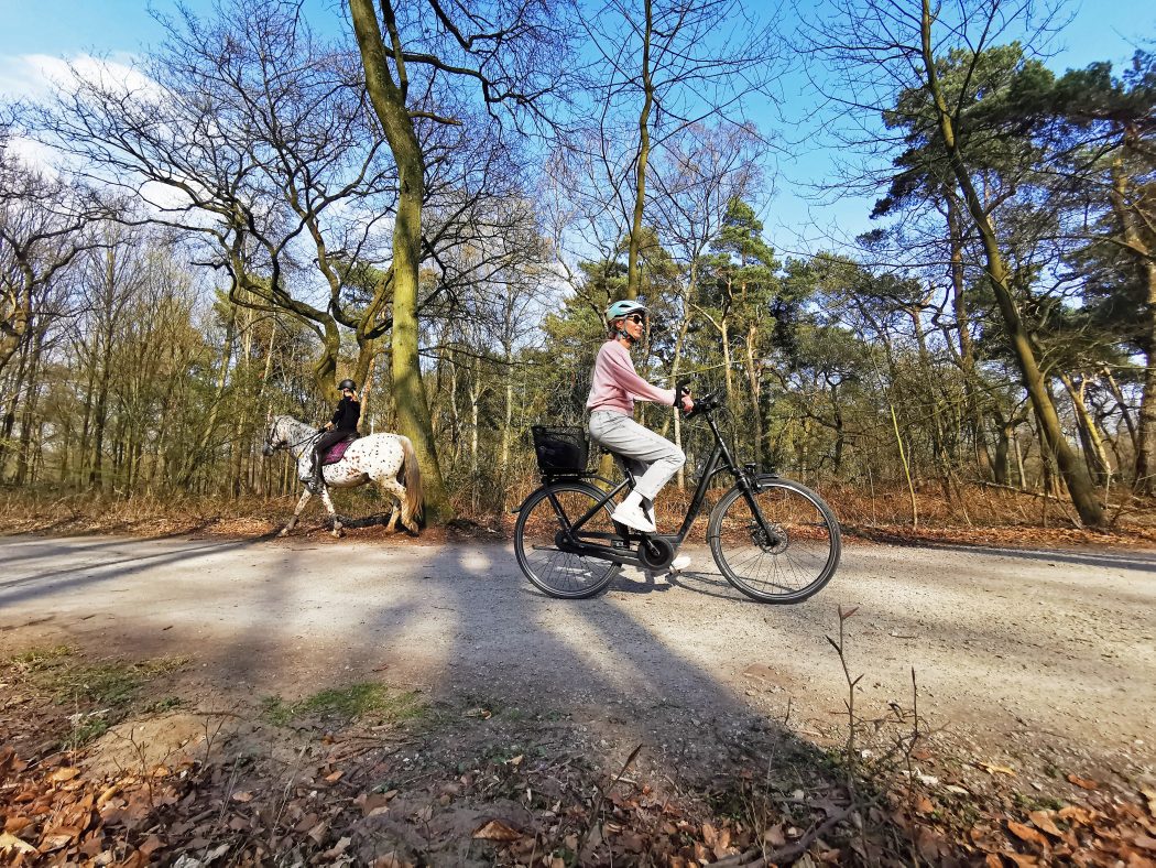 Das Foto zeigt Sandra auf dem Fahrrad und eine Reiterin auf ihrem Pferd im Kölnischen Wald in Bottrop