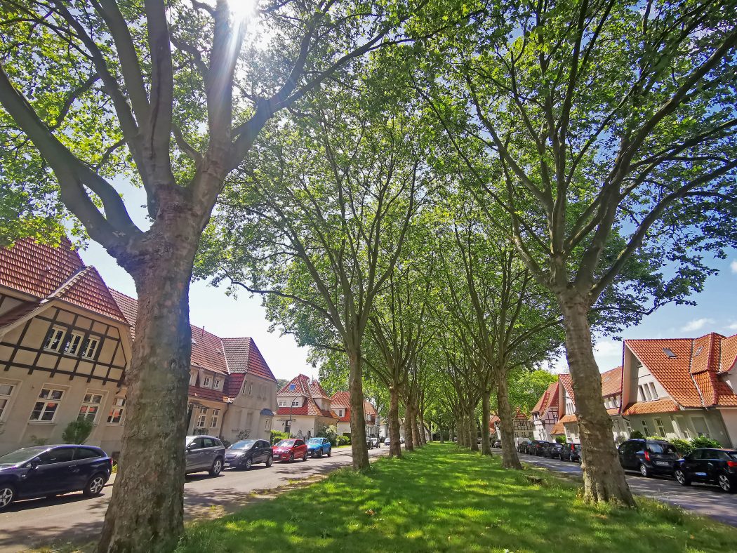 Das Foto zeigt die Gartenstadt Welheim in Bottrop