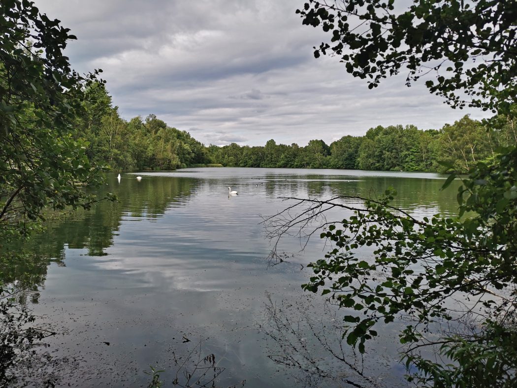 Das Foto zeigt den Heidhofsee in der Kirchheller Heide in Bottrop