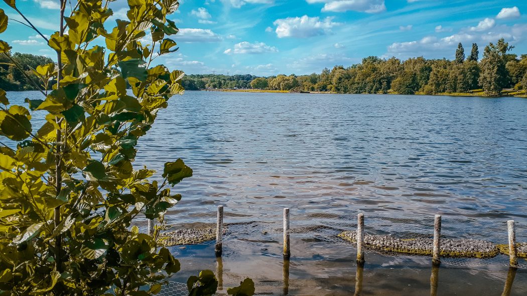 Das Foto zeigt den Ümmingersee in Bochum