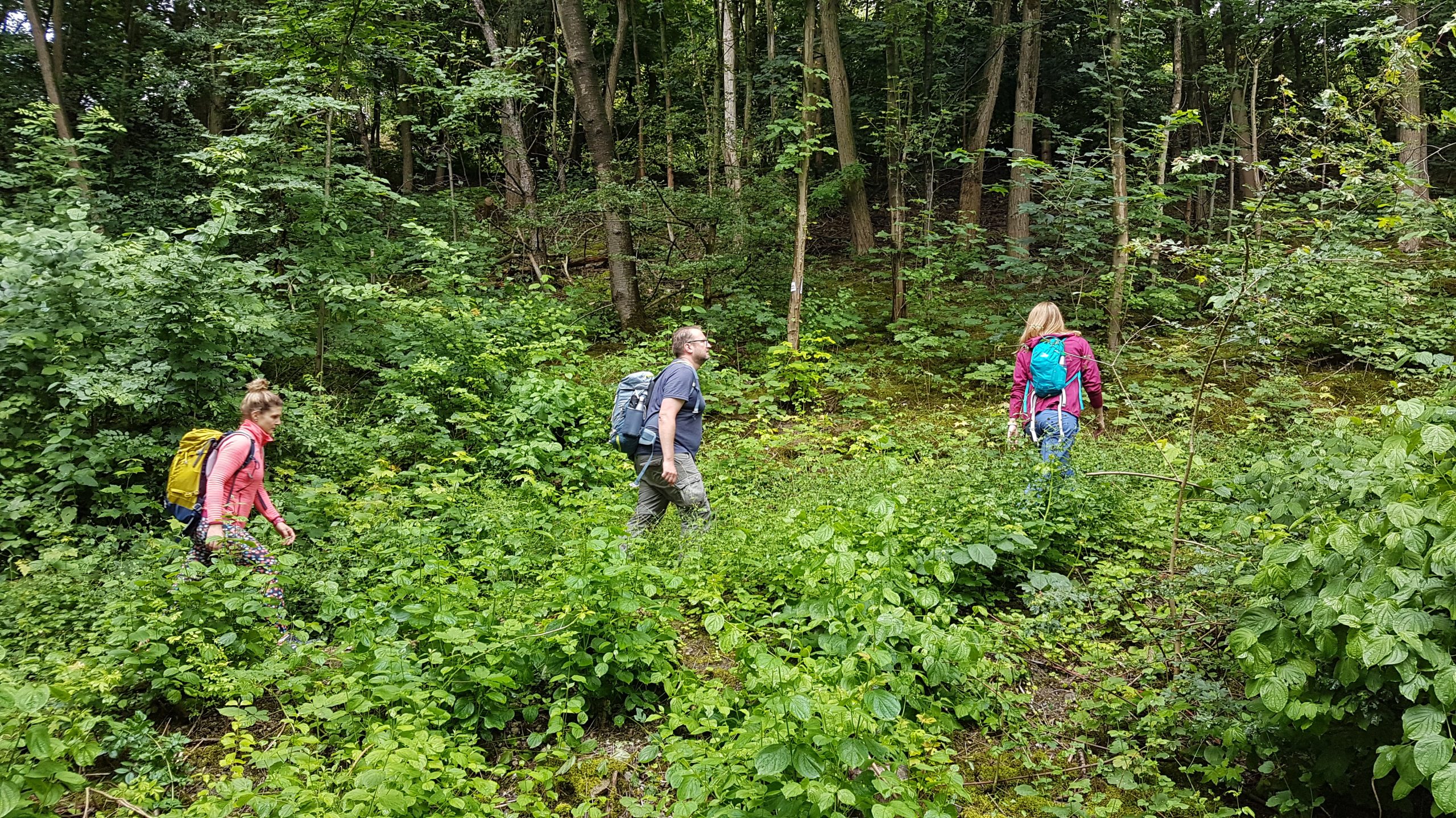 Das Foto zeigt Wanderer auf dem ZollvereinSteig