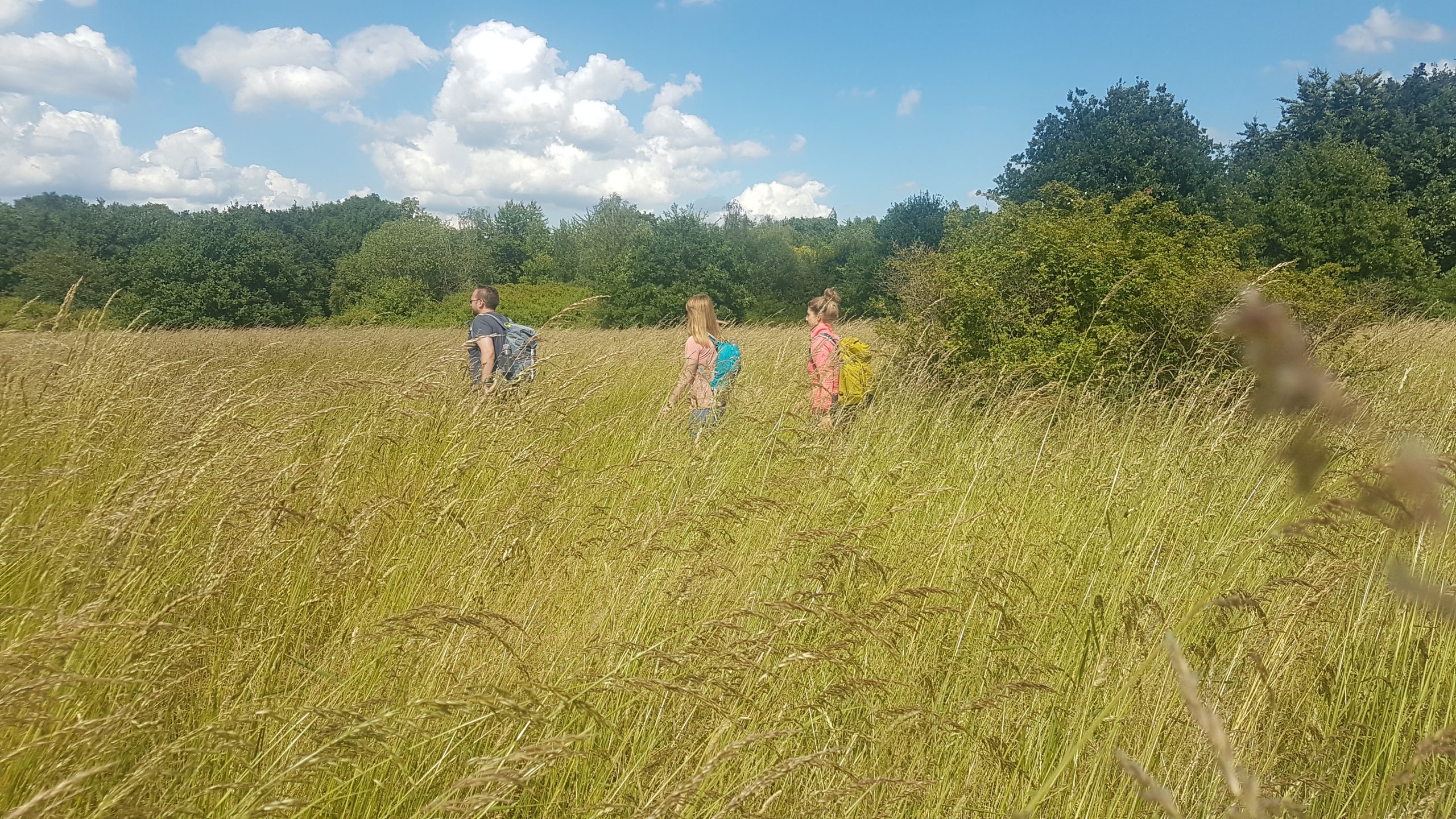 Das Foto zeigt ein Feld in Gelsenkirchen auf dem ZollvereinSteig