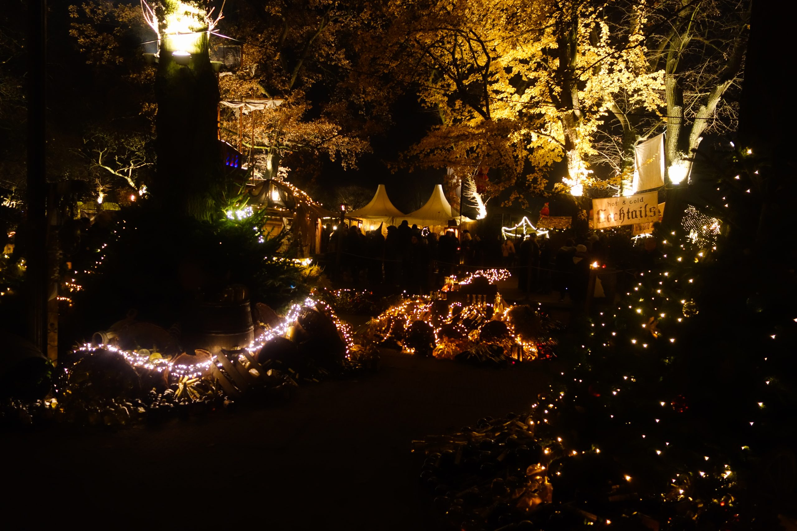 Das Bild zeigt die Lichter auf dem Phantastischen Lichter Weihnachtsmarkt