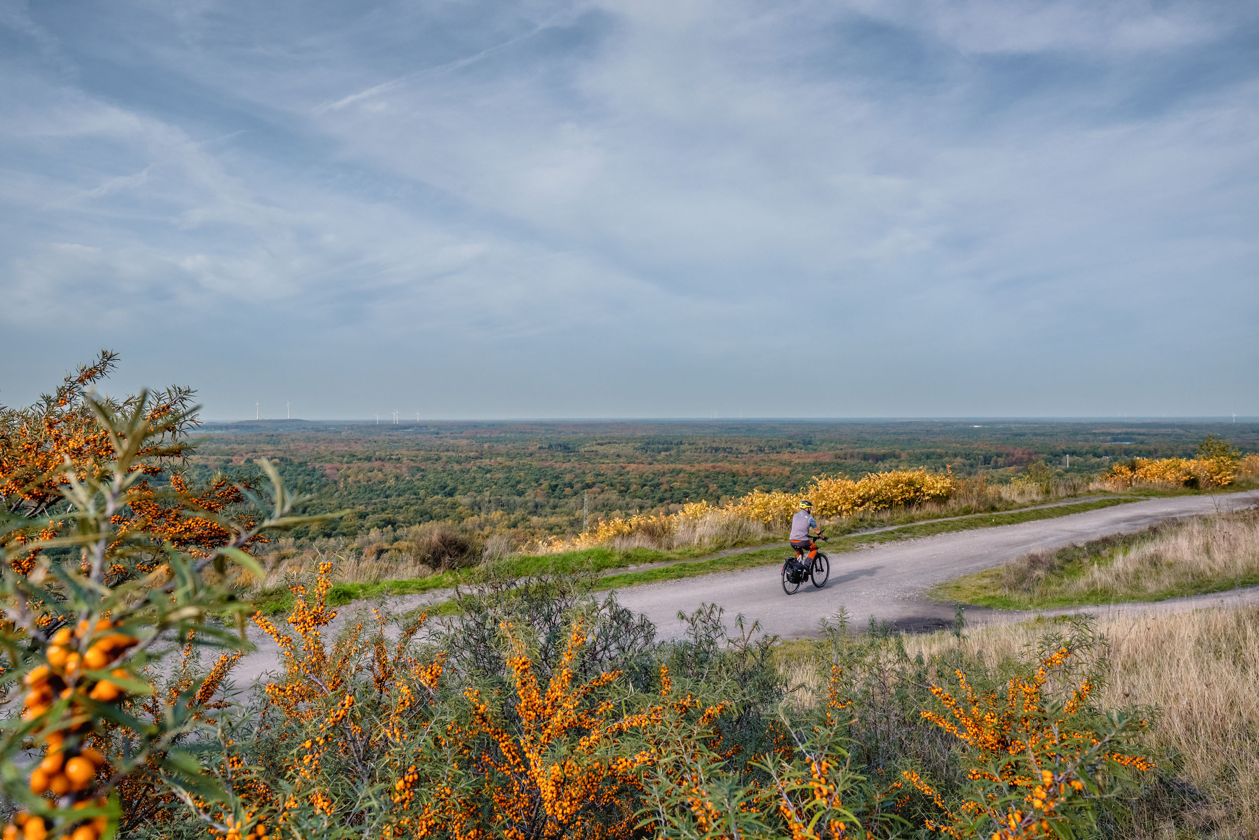Das Foto zeigt Jochen mit dem ROSE XTRA WATT auf der Halde Haniel in Bottrop