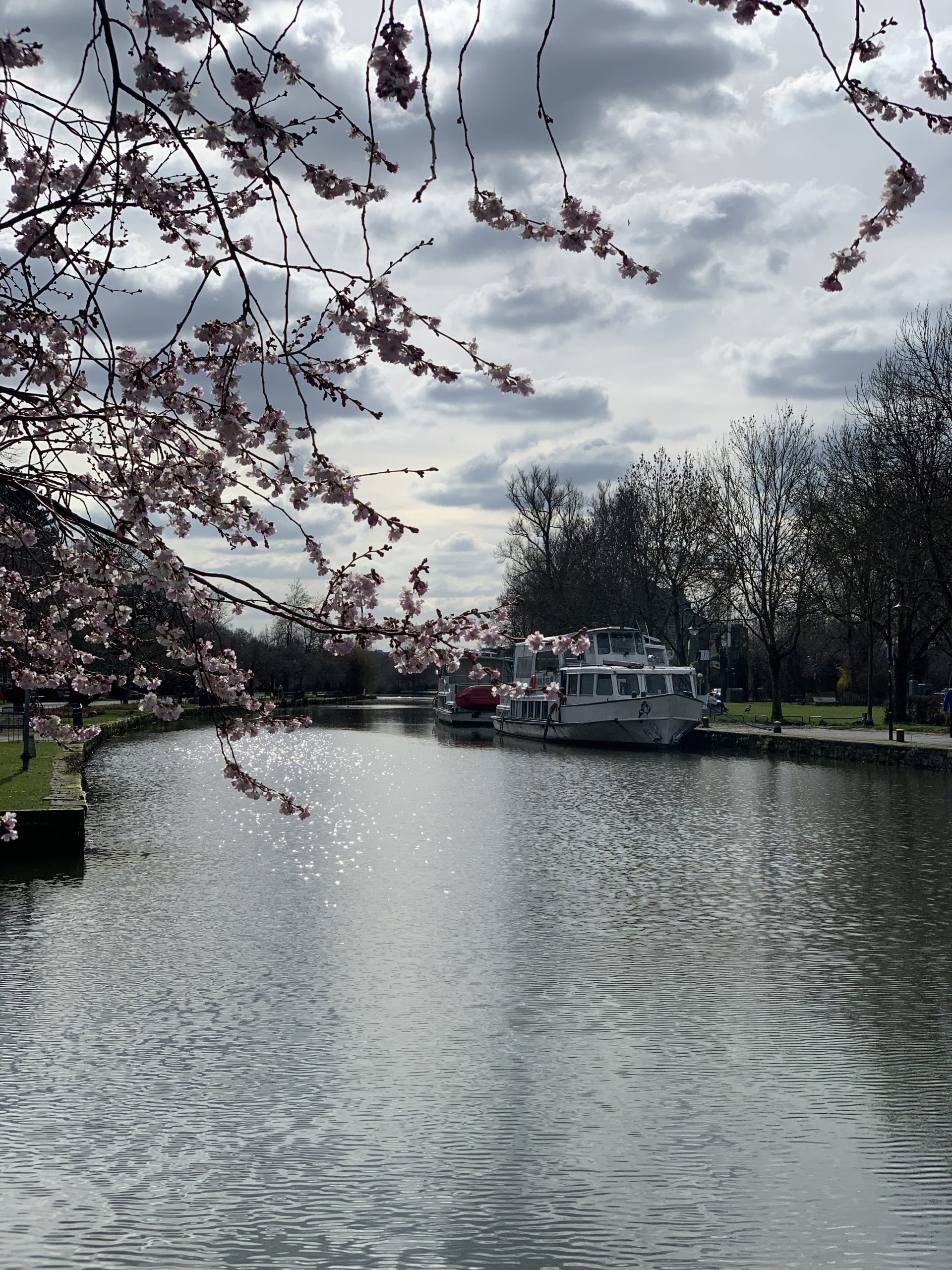 Das Bild zeigt die Ruhr in Mülheim