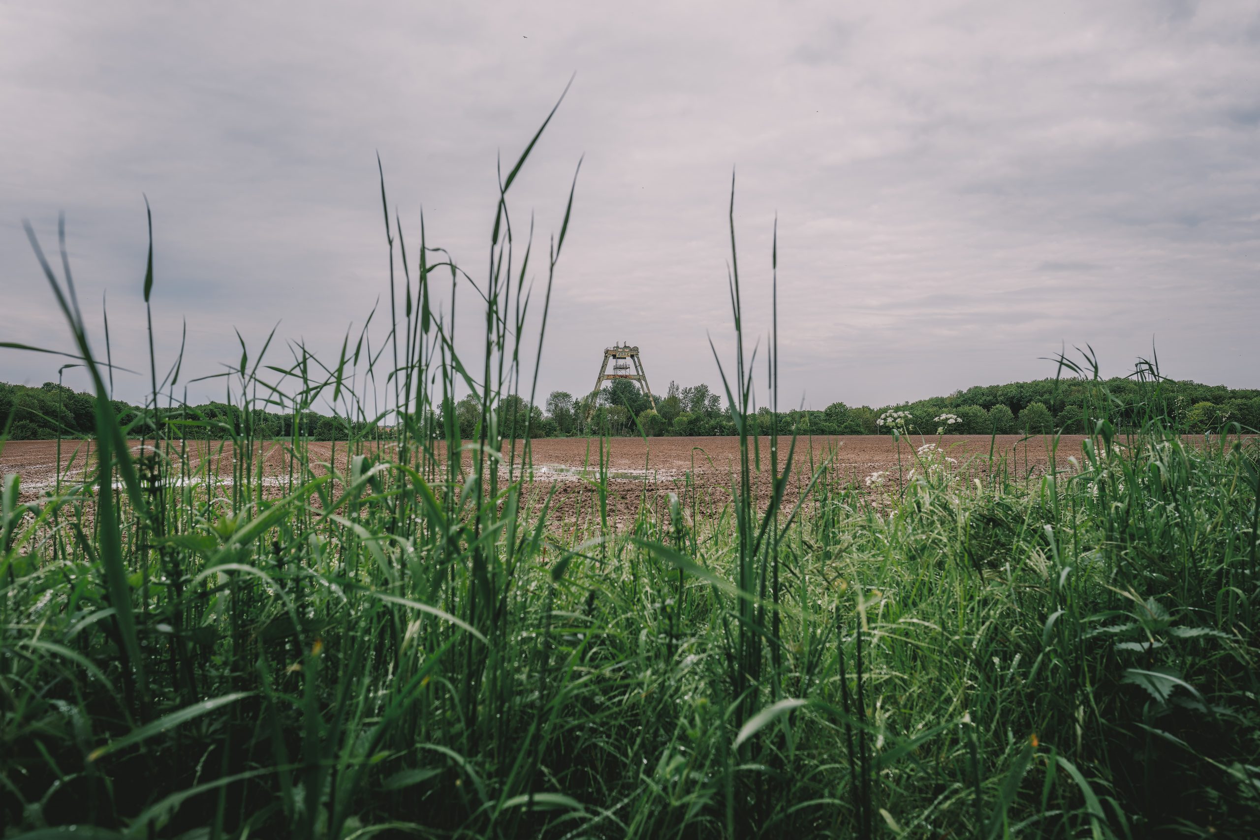 Eine Grenzgängertour in den Kreis Warendorf