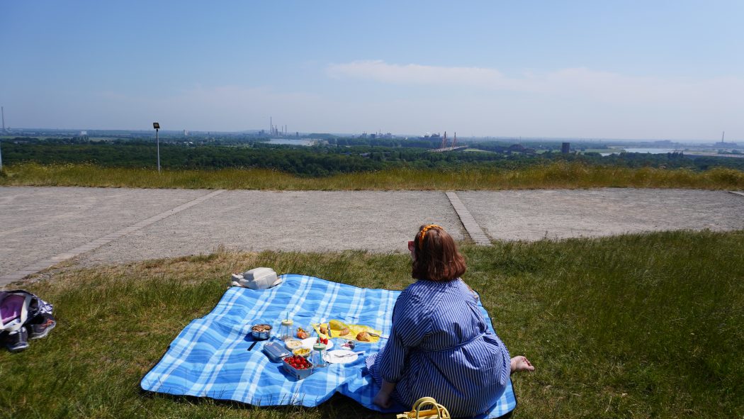 Das Bild zeigt die Aussicht von der Halde Rheinpreußen in Moers