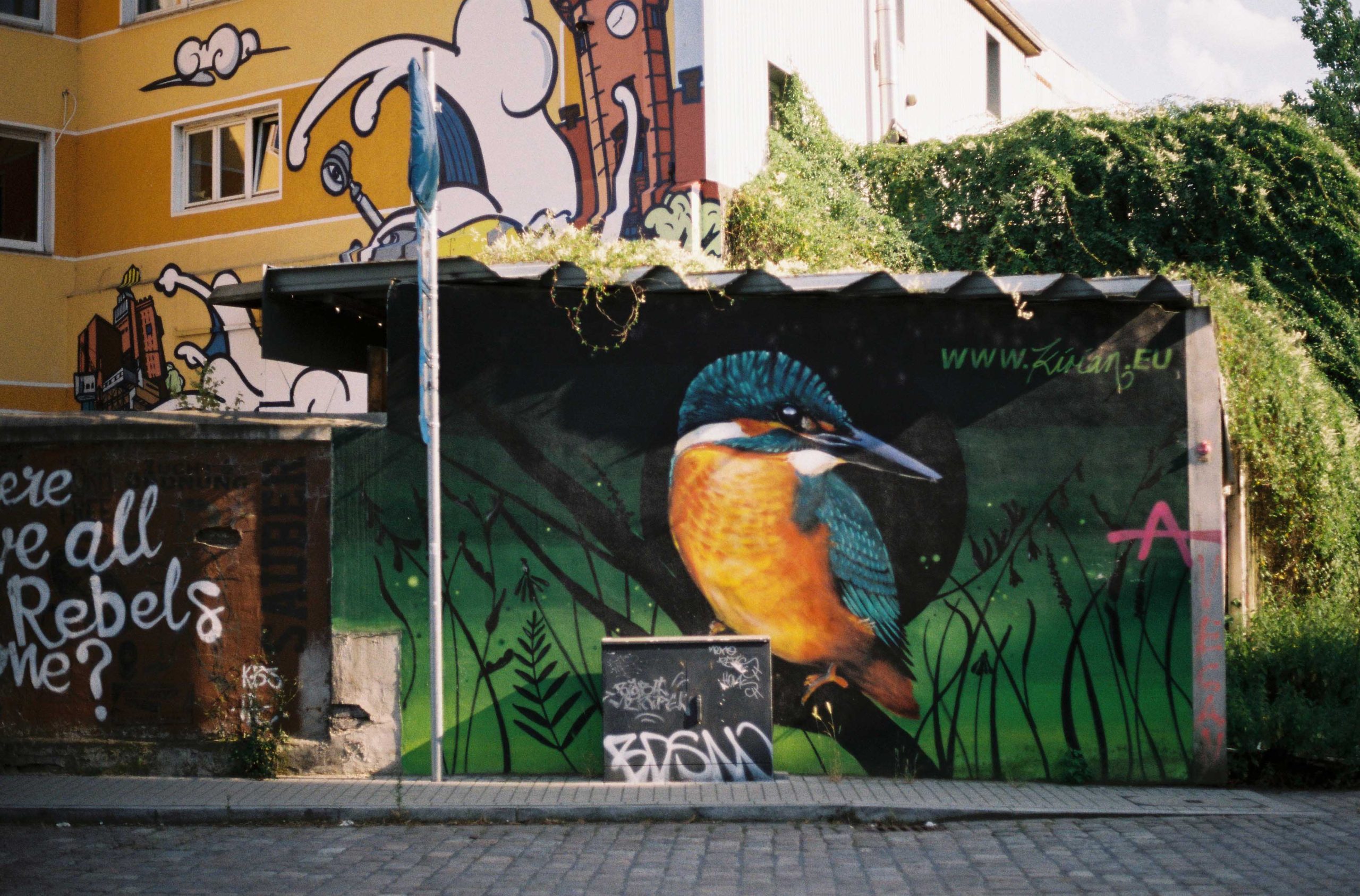 Das Foto zeigt Streetart im Hafen Dortmund, die Nina bei ihrer Fototour mit der Analogkamera fotografiert hat