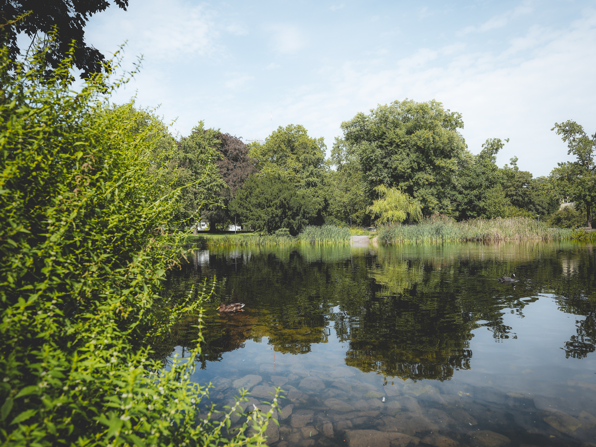 Das Foto zeigt den Essener Stadtgarten