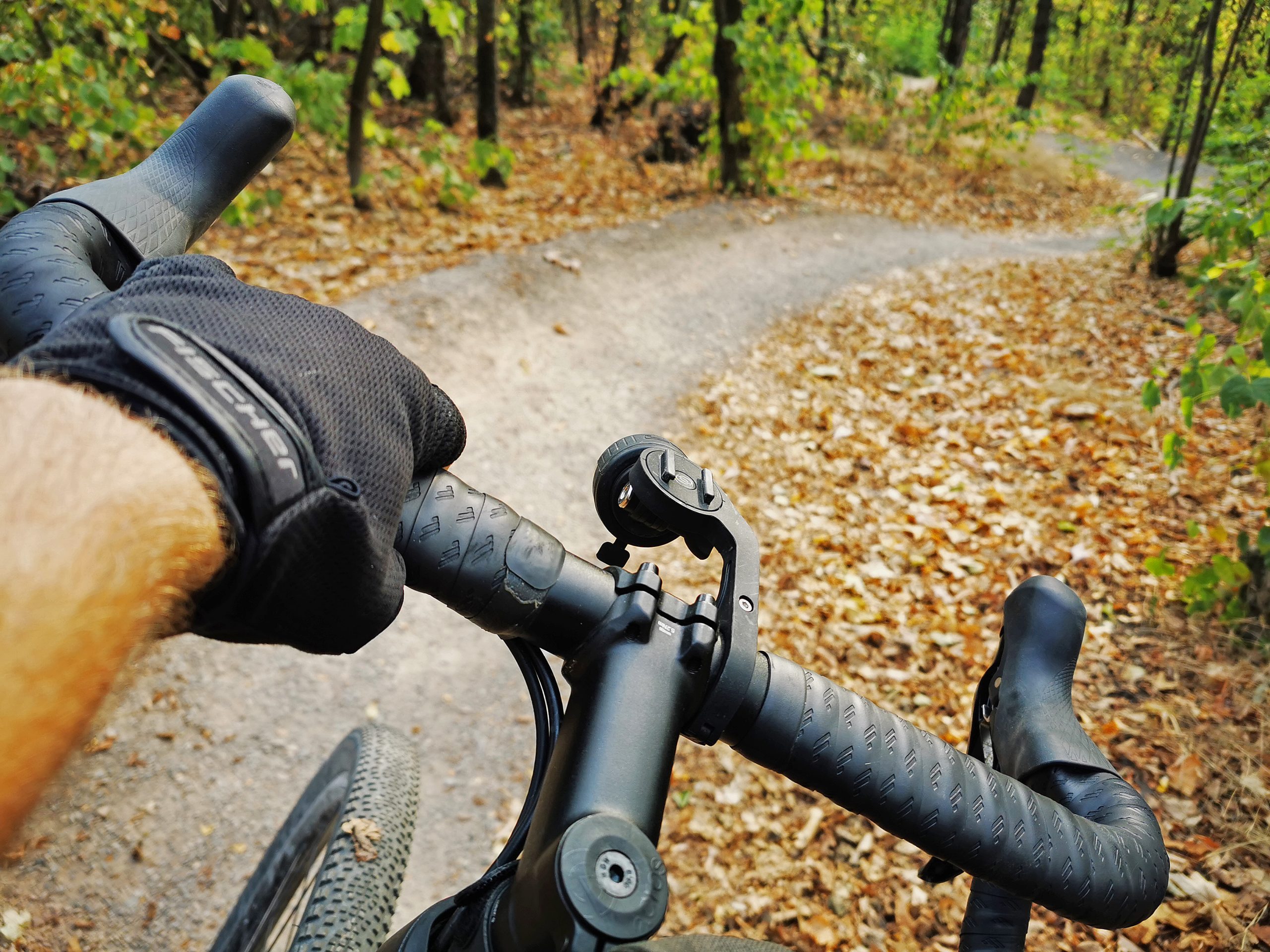 Das Bild zeigt ein Lenkrad eines Fahrrads im Wald