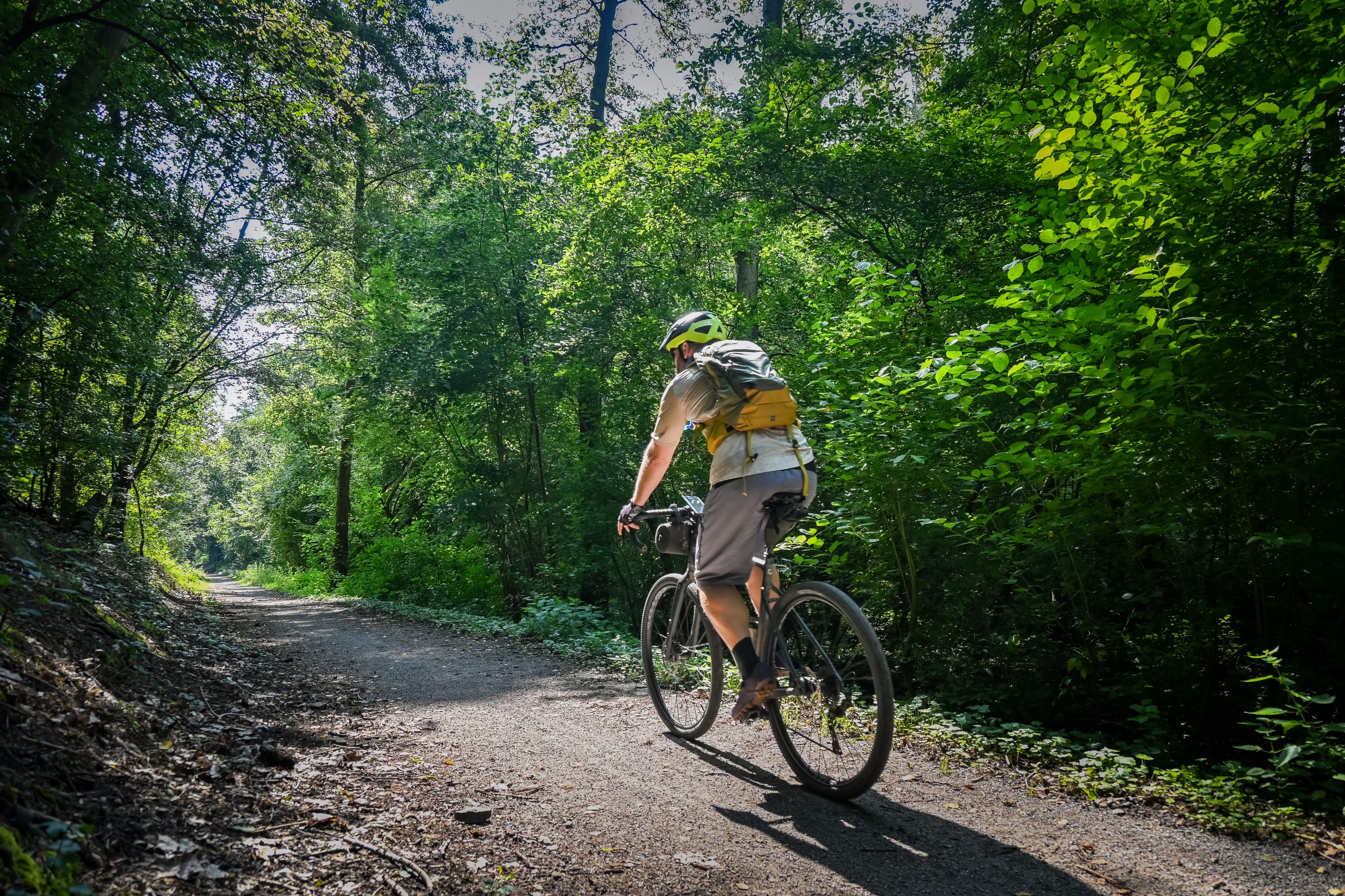 Das Bild zeigt ein Gravel Bike im Wald