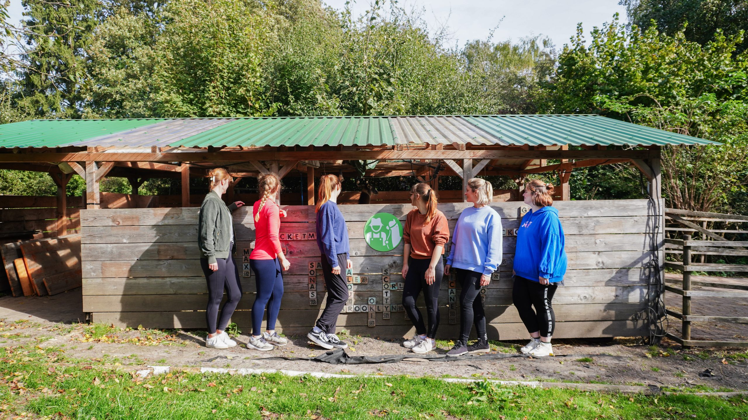 Das Bild zeigt Personen beim Achtsamkeitsretreat mit Alpakas bei Daniels kleine Farm