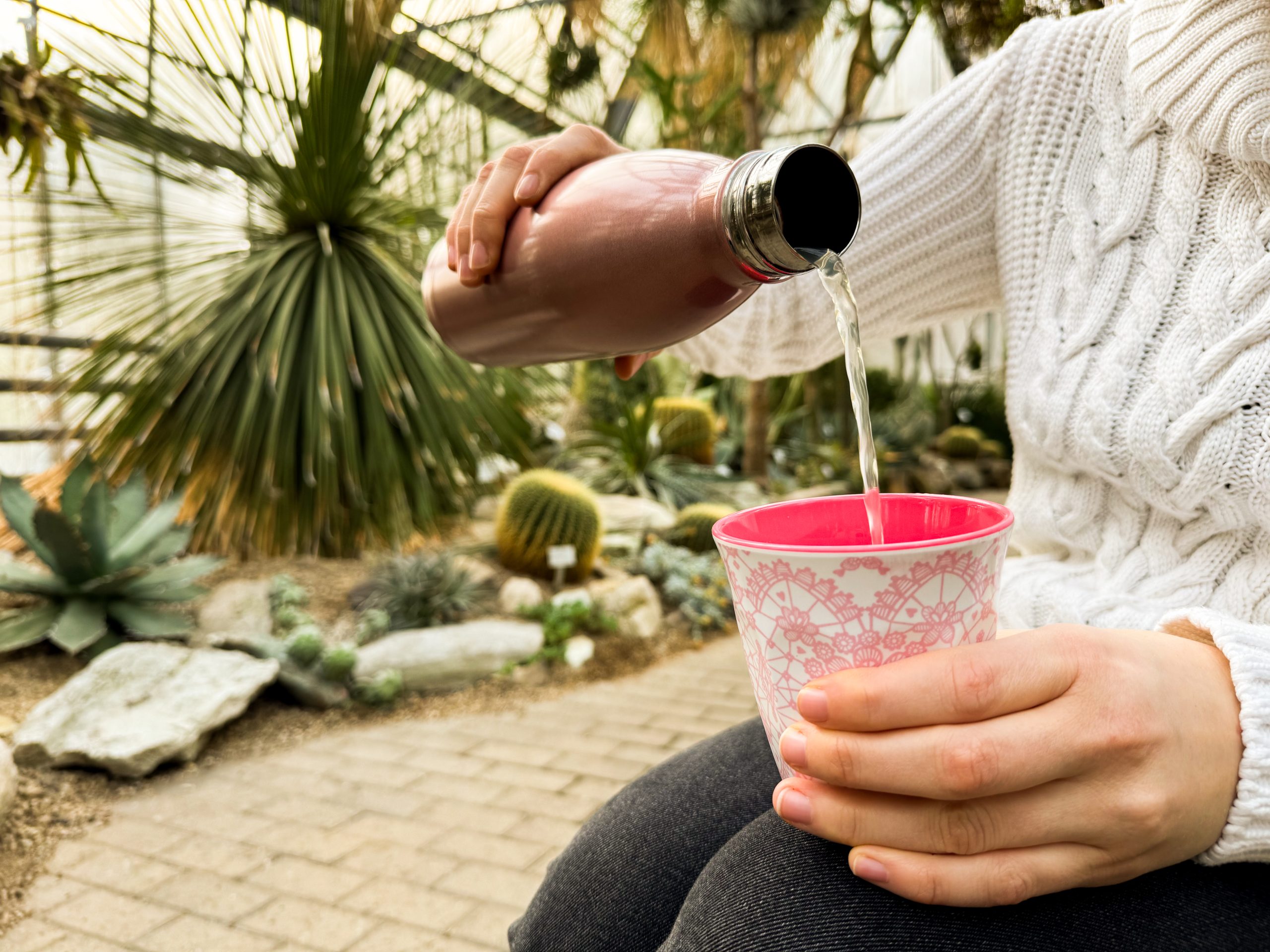 Das Foto zeigt Tee im Wüstenhaus im Botanischen Garten der Ruhr-Universität Bochum