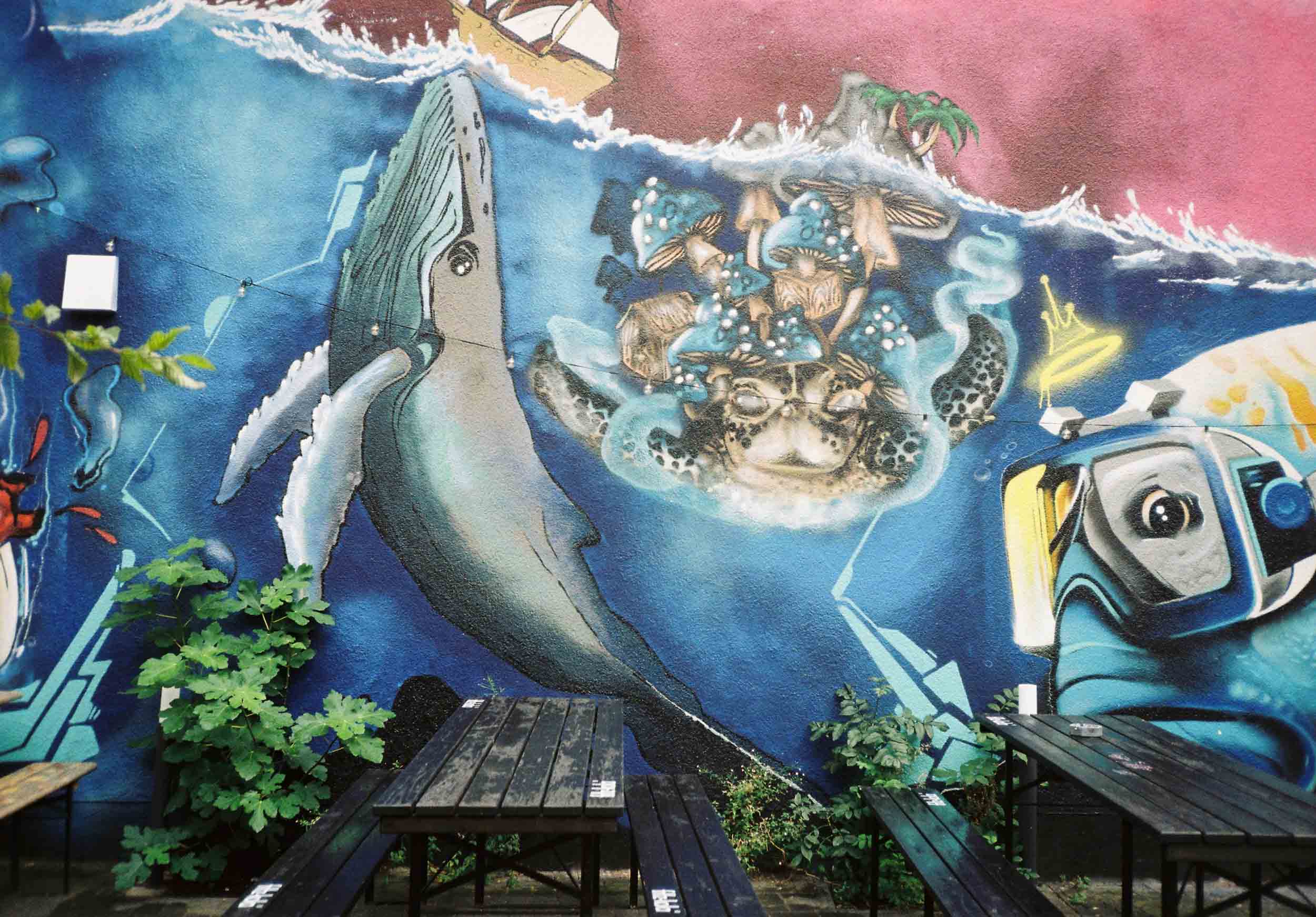 Das Foto zeigt eine Wand mit Graffiti in Gelsenkirchen Ückendorf.