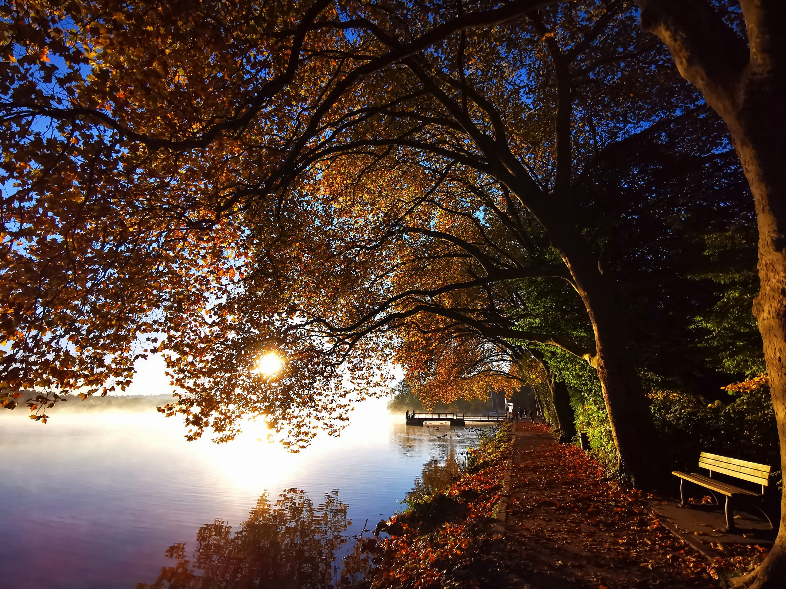Das Sonnenlicht fällt durch die herbstlichen Bäume, die einen Uferweg säumen, und wirft warme Farben und Spiegelungen auf das ruhige Wasser. Auf der rechten Seite steht eine weiße Bank, und unter dem goldenen Blätterdach ist der Weg mit Laub bedeckt.