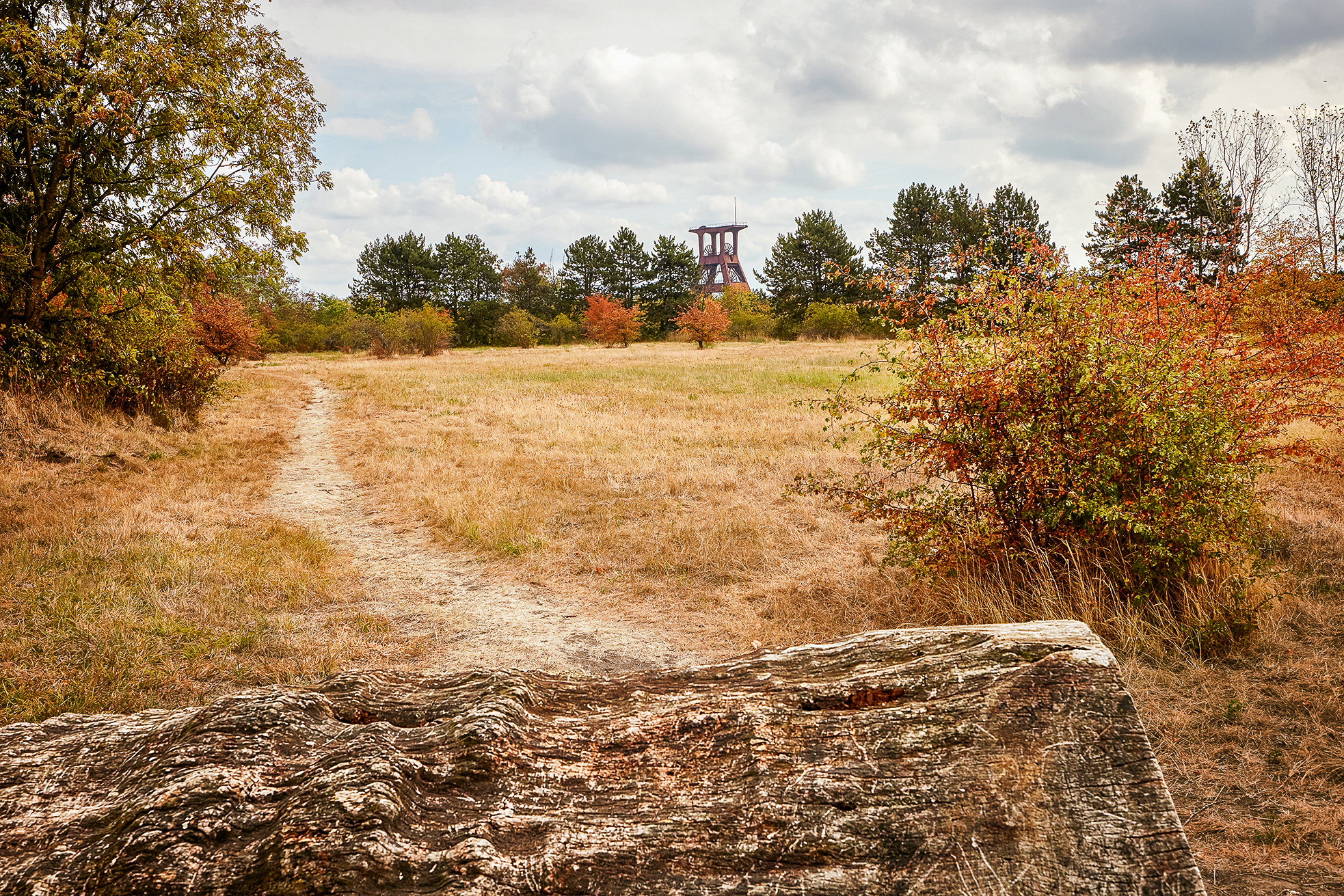 Ein schmaler Feldweg schlängelt sich durch ein trockenes, grasbewachsenes Feld mit vereinzelten Bäumen und Sträuchern. Im Hintergrund erhebt sich ein großes rostiges Industriegebäude über der Baumgrenze unter einem teilweise bewölkten Himmel.