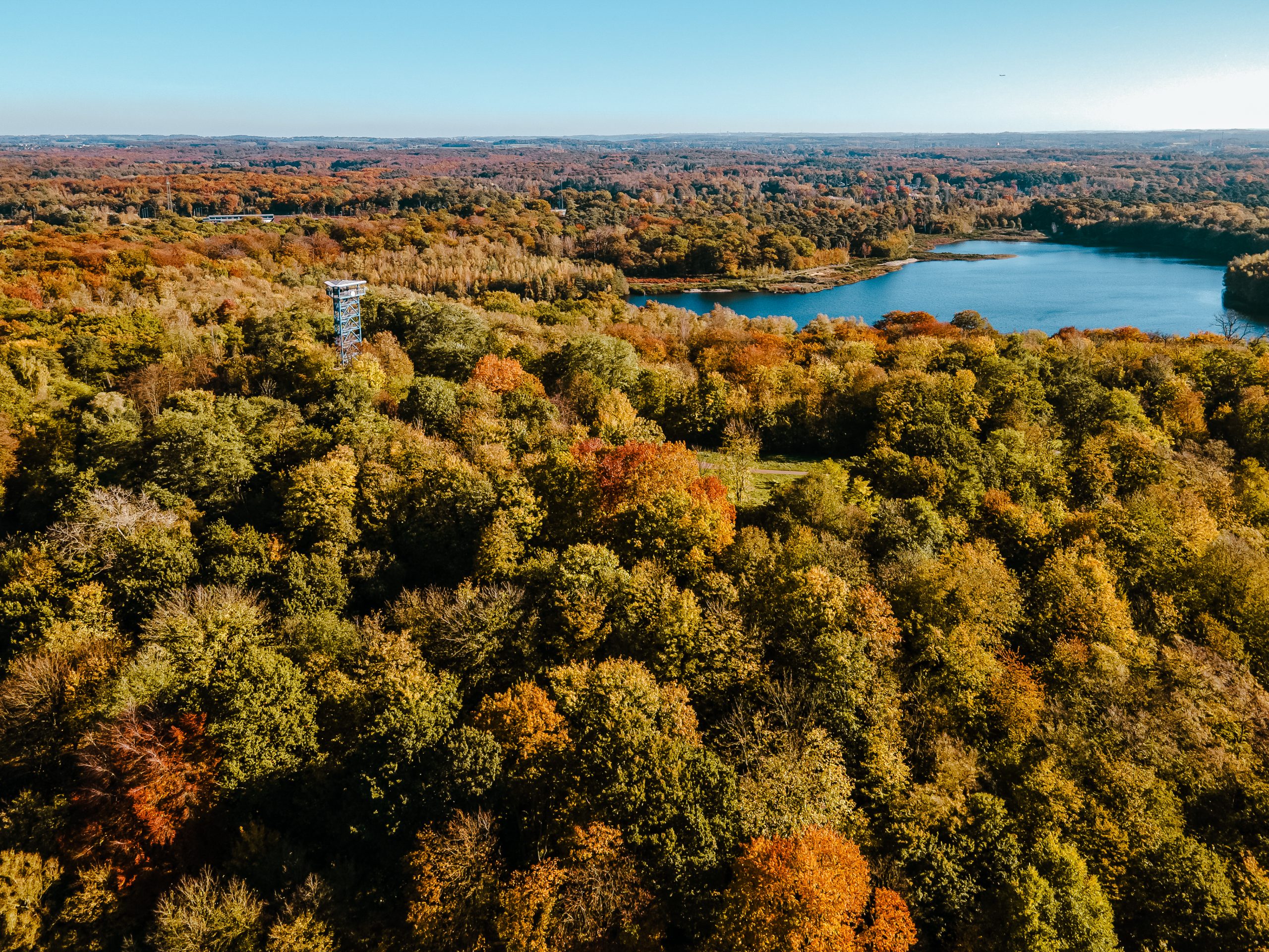 Luftaufnahme eines dichten Waldes mit herbstlichem Laub in Grün-, Gelb- und Orangetönen. Ein großer See ist zu sehen, und zwischen den Bäumen steht ein Aussichtsturm. Der Himmel ist klar und blau.