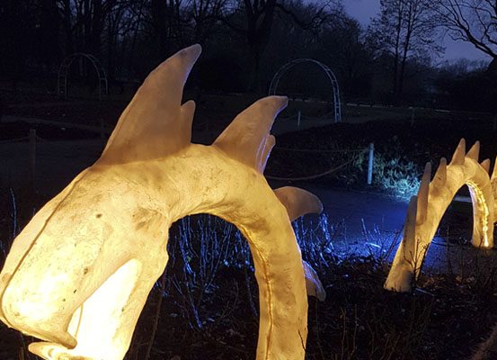 Das Foto zeigt eine monsterähnliche Installation beim Parkleuchten im Grugapark Essen