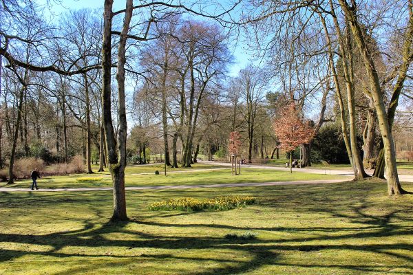 Das Foto zeigt den Schlosspark in Moers