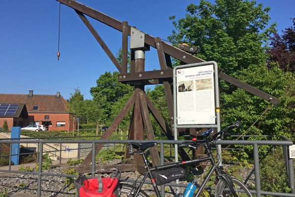 Das Foto zeigt den Großen Kranich von Haltern