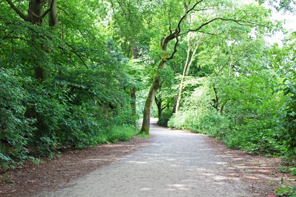 Das Bild zeigt einen Wanderweg an der Sechs-Seen-Platte