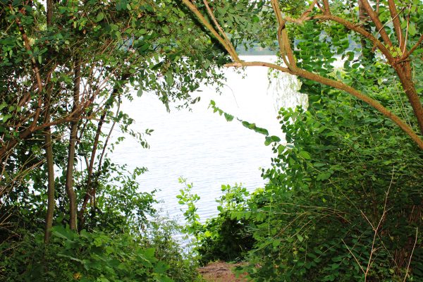 Das Bild zeigt den Blick auf einen See der Sechs-Seen-Platte