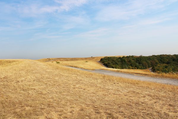 Das Bild zeigt den Blick über die Halde Norddeutschland