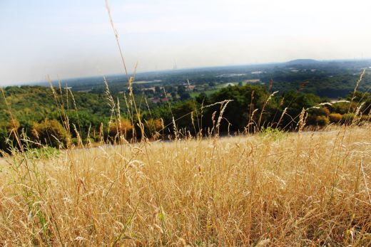 Das Bild zeigt den Blick von der Halde Norddeutschland