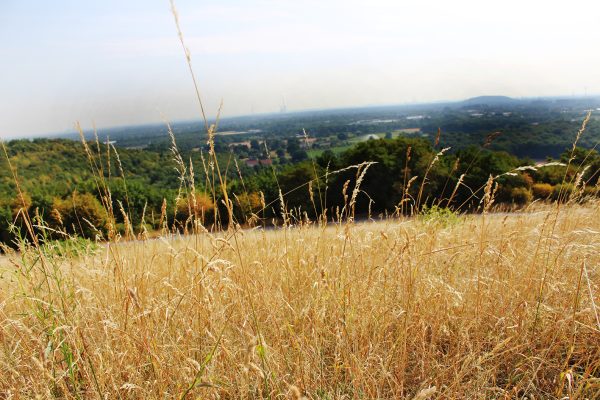 Das Bild zeigt den Blick von der Halde Norddeutschland