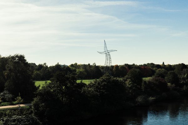 Das Bild zeigt den Zauberlehrling