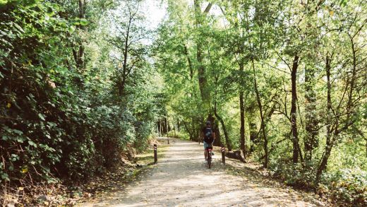 Das Bild zeigt einen Radfahrer im Wald