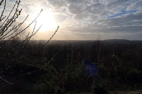 Das Foto zeigt die Aussicht von der Halde Beckstraße in Bottrop