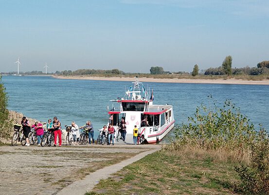 Das Foto zeigt eine Fähre am Rhein