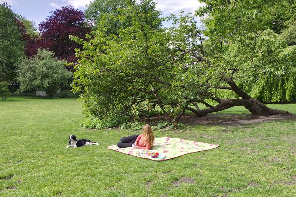Das Foto zeigt Bloggerin Rebecca nebst Hund Fino bei einem Picknick im Kaisergarten Oberhausen, der sich als Ausflugsziel bei einem Kurzurlaub mit Hund im Ruhrgebiet bestens eignet
