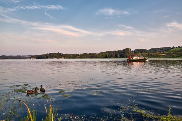 Das Foto zeigt zwei Enten und ein Boot auf dem Baldeneysee in Essen