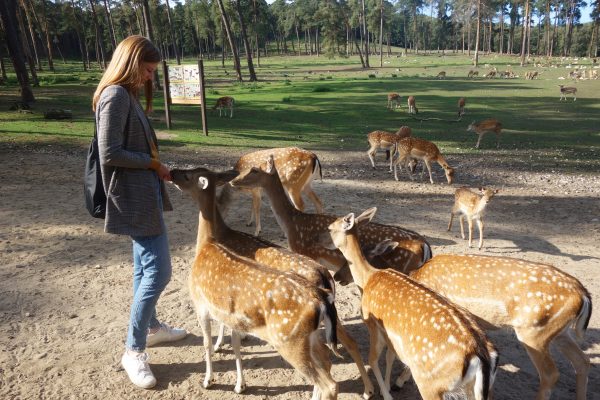 Zoo  Tierpark Rodgau Offenbach Ortsdienst
