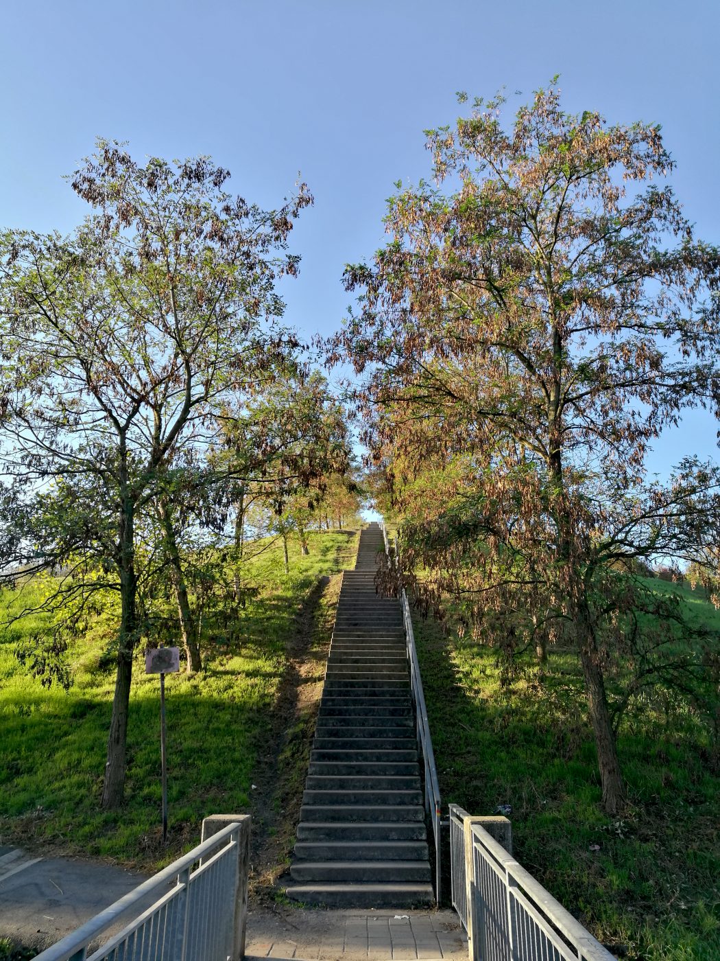 Das Foto zeigt eine Treppe der Halde Rungenberg in Gelsenkirchen