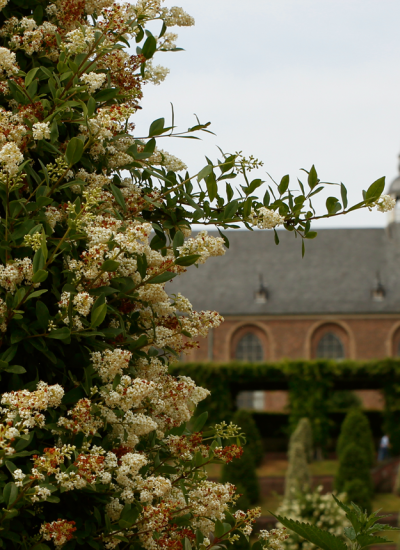 Das Bild zeigt das Kloster Kamp in Kamp-Lintfort