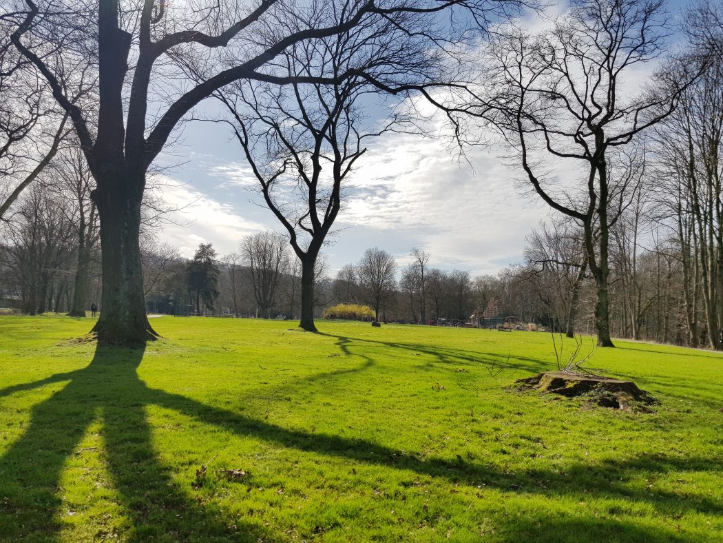 Das Bild zeigt die Brehminsel in Essen Werden