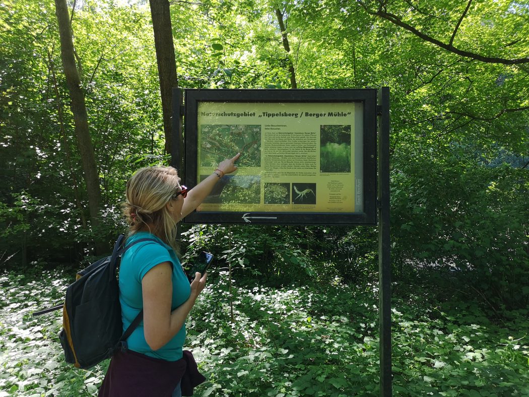 Das Bild zeigt Heike im Naturschutzgebiet Tippelsberg