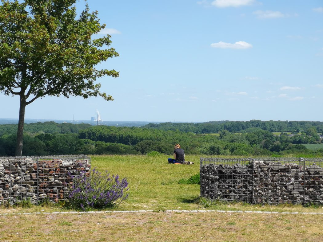 Das Bild zeigt den Tippelsberg