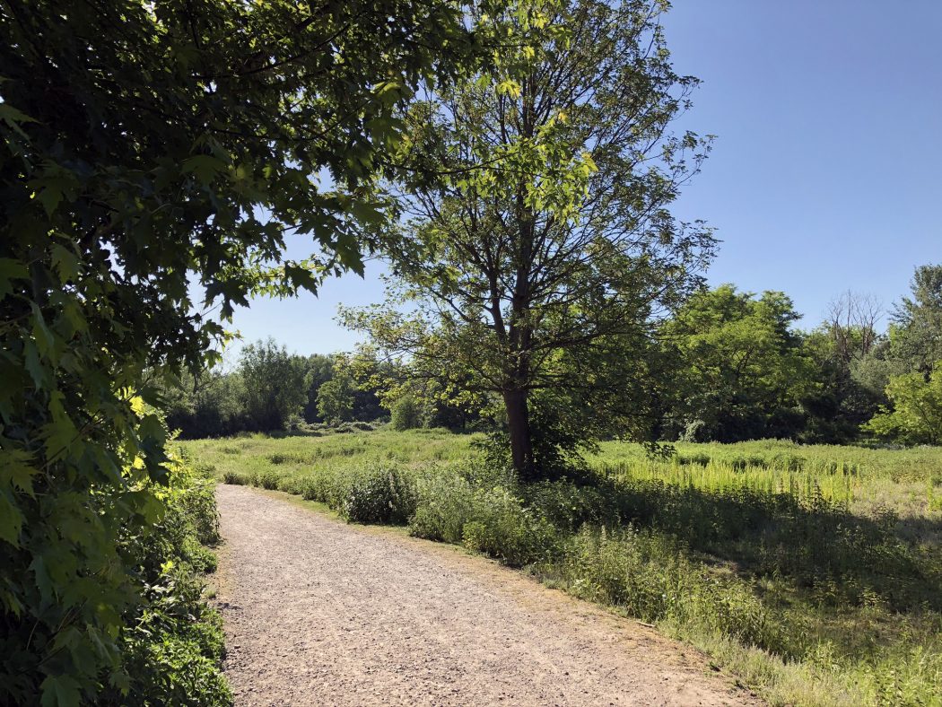 Das Bild zeigt den Wanderweg in Herne