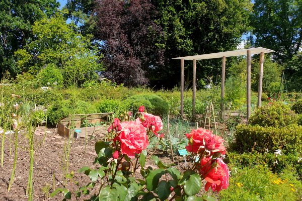 Das Bild zeigt den Bauerngarten