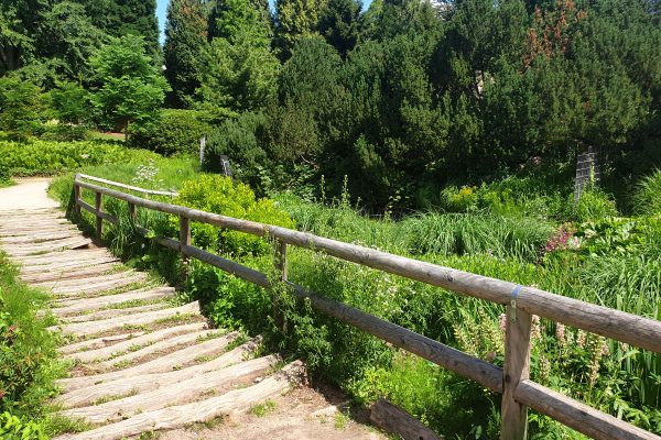 Das Bild zeigt einen Weg im Grugrapark Essen